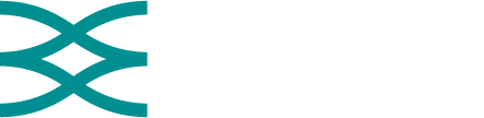 Business Modelling Applications